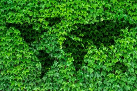 Traductions dans le domaine de l'écologie et de l'environnement