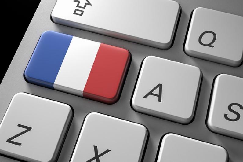 De Franse taal: foutief woordgebruik en andere eigenaardigheden