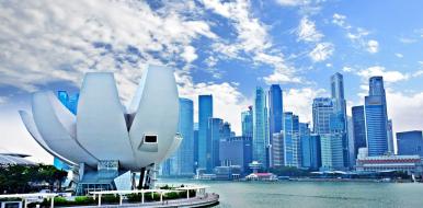 Groen licht voor de handels- en investeringsbeschermingsovereenkomsten tussen de EU en Singapore